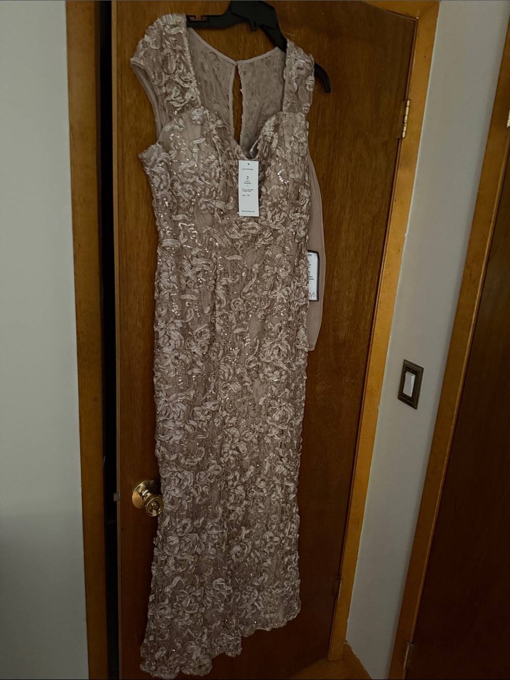 Alex Evenings Champagne Lace & Sequin Two-Piece Formal Dress